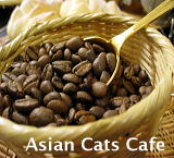 Asian Cats Cafe 招き猫珈琲